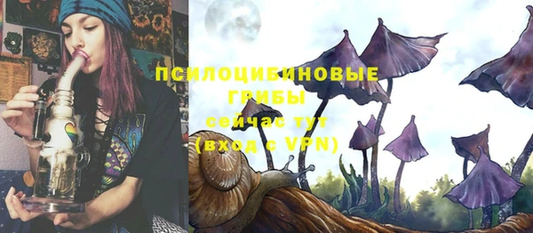 СК Армянск