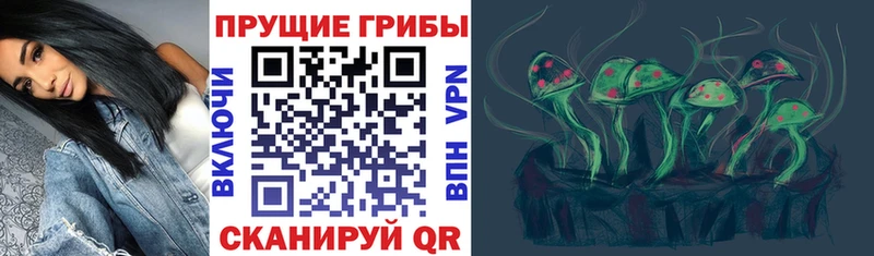 Галлюциногенные грибы Cubensis Купить Приволжск